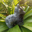 Tropical Leaves
